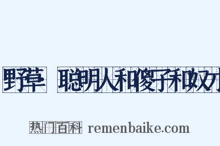 野草·聪明人和傻子和奴才是什么意思的图片
